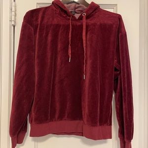 JCrew Velour hooded sweatshirt